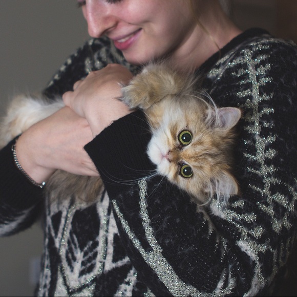 Meet Kelly! - Picture 4 of 4